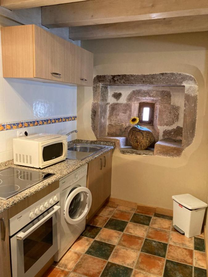 Agotxenea. Precioso Apartamento Rural En El Baztan Maya del Baztán Kültér fotó